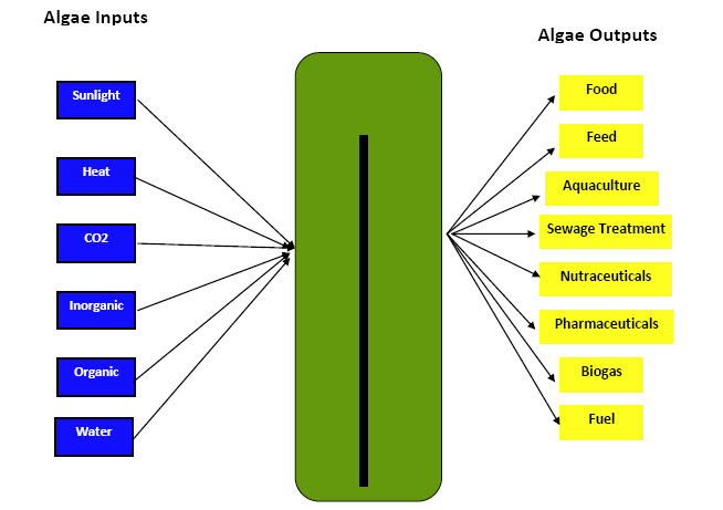 microfarms