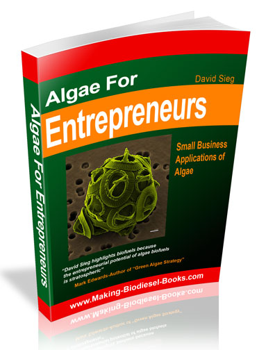 algae for entrepreneurs