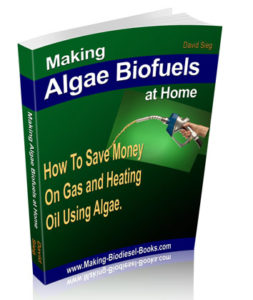 making algase biofuels at home