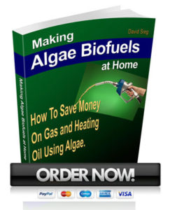 Algae-Biofuels