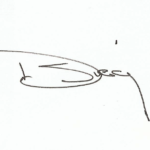 INFORMATION SPECIALISTS Signature