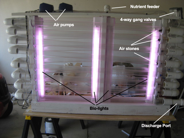 algae garage bioreactors