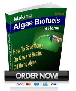 Algae Biofuels cover2 ordernow