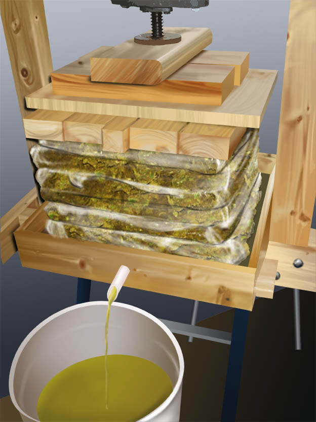 algae oil press