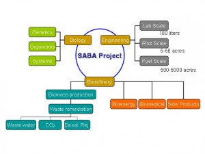 Algae Biorefinery in Saudi Arabia