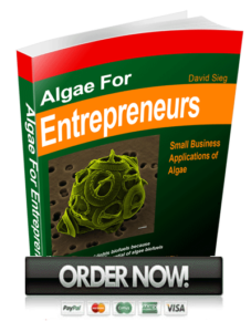 A4E-order-now-noBG1