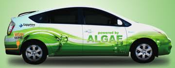 Algae Gasoline