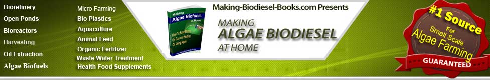 http://making-biodiesel-books.com