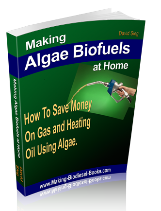 make algae biofuels at home