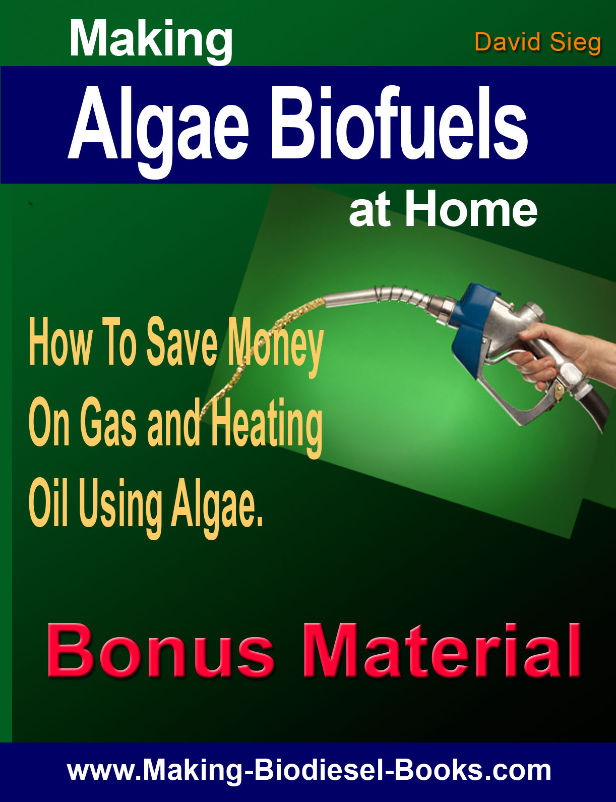 algae biofuels bonus material