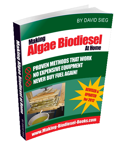 making algae biodiesel at home
