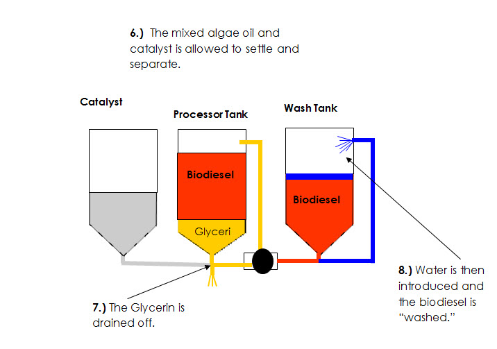 biodiesel process