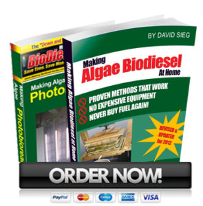 2012 PBR Algae Biodiesel ebooks ordernow