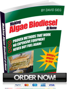 algae biodiesel book