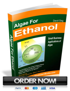 algae to ethanol