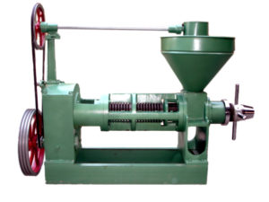 algae oil extraction