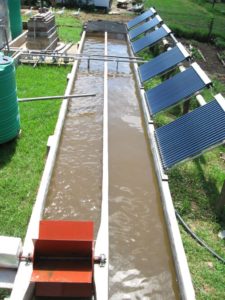 algae biodiesel
