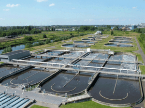 algae wastewater treatment