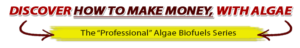 about algae