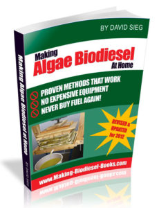 algae biodiesel pdf
