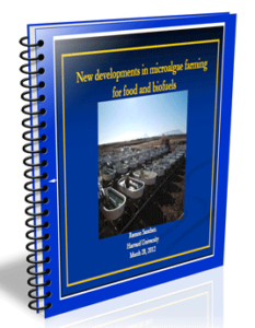 masters thesis