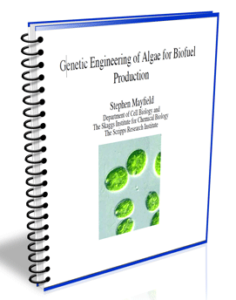 algae microfarms