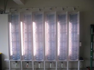 Algae Bioreactors-Pros and Cons