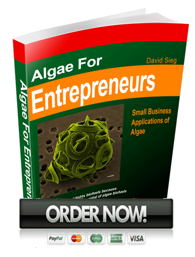 algae business