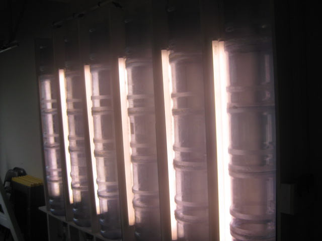 algae photobioreactor