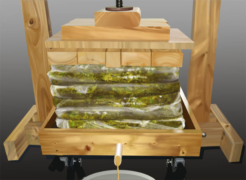 Algae Oil Extraction Understanding Small and Commercial Scale